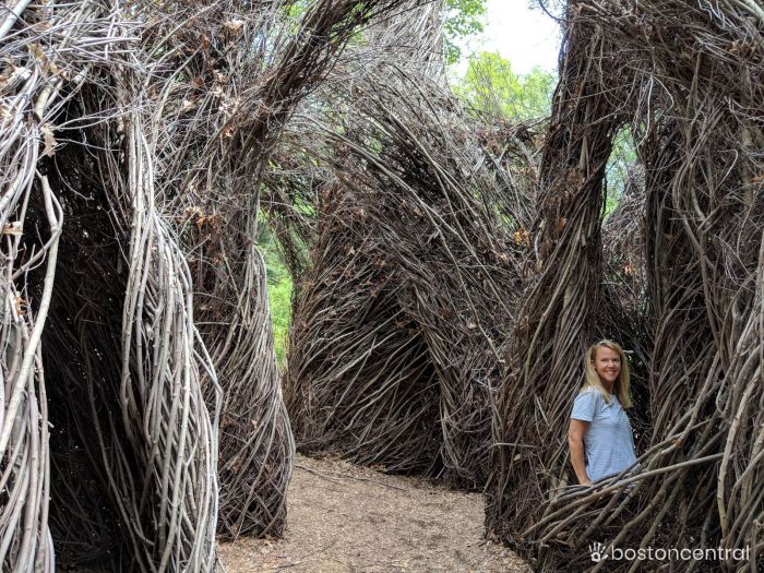 Stacey Sao Wild Rumpus at Tower HIll Botanical Garden